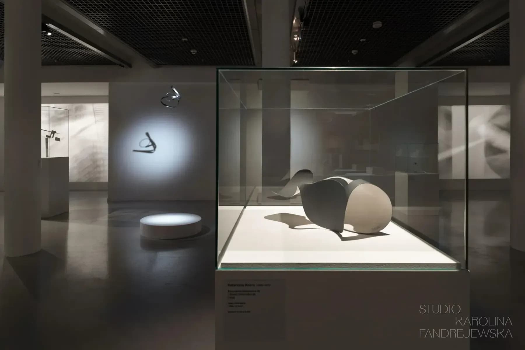 Composing the Space. Sculptures in the Avant-garde - Archive image
